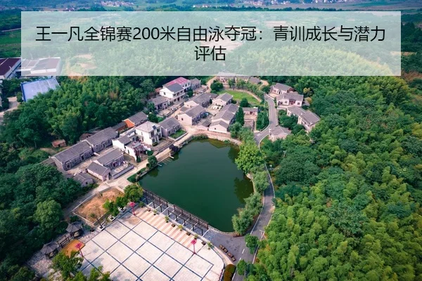 wang-yi-fan-quan-jin-sai-mi-zi-you-yong-duo-guan-qing-xun-cheng-zhang-yu-qian-li-ping-gu-2-163.jpg